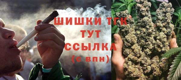 дурь Бронницы