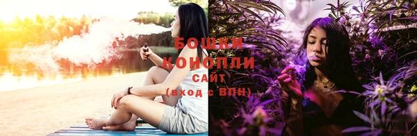 наркотики Бородино