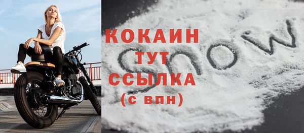 дурь Бронницы